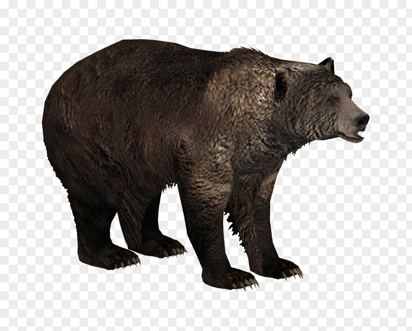 Bison Zoo Tycoon 2 Brown Bear American Black PNG