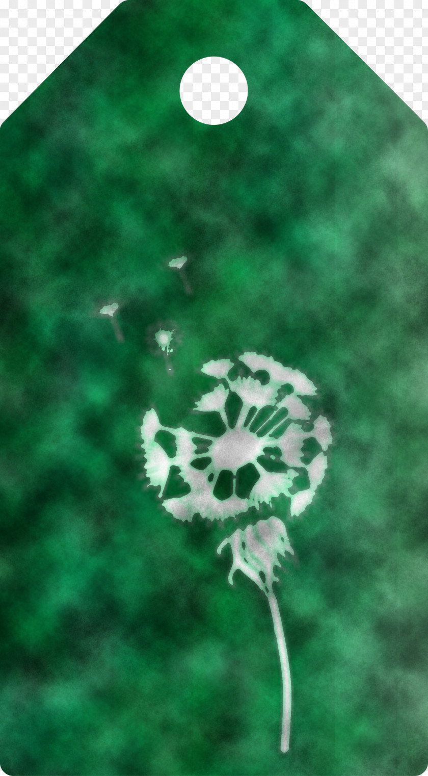 Dandelion Tag PNG