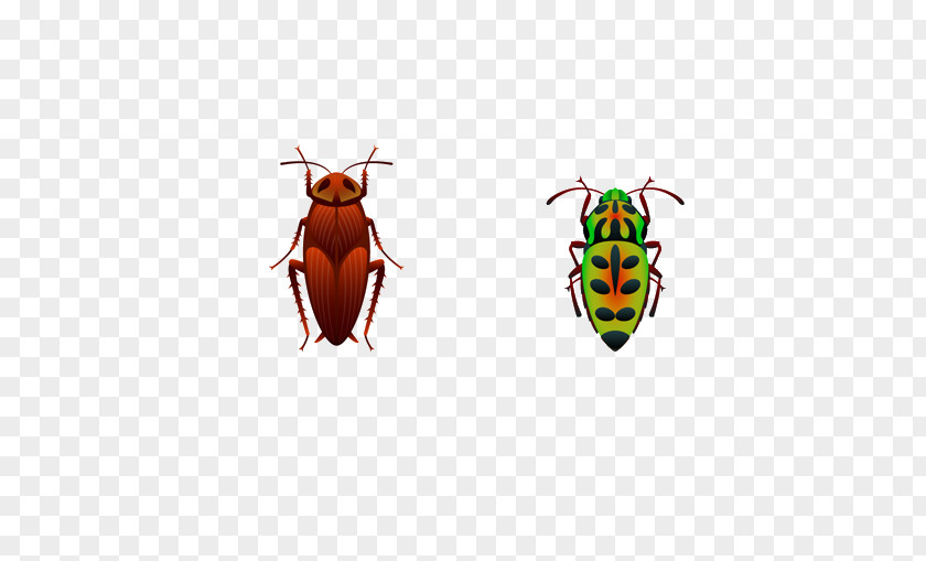 Insect Euclidean Vector Computer File PNG