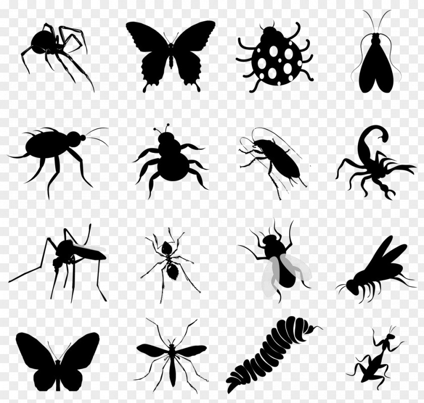 Insect Silhouettes Silhouette Butterfly Clip Art PNG