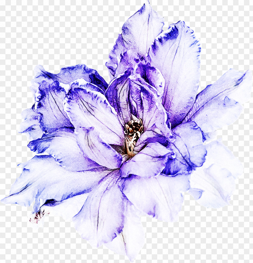 Lavender PNG