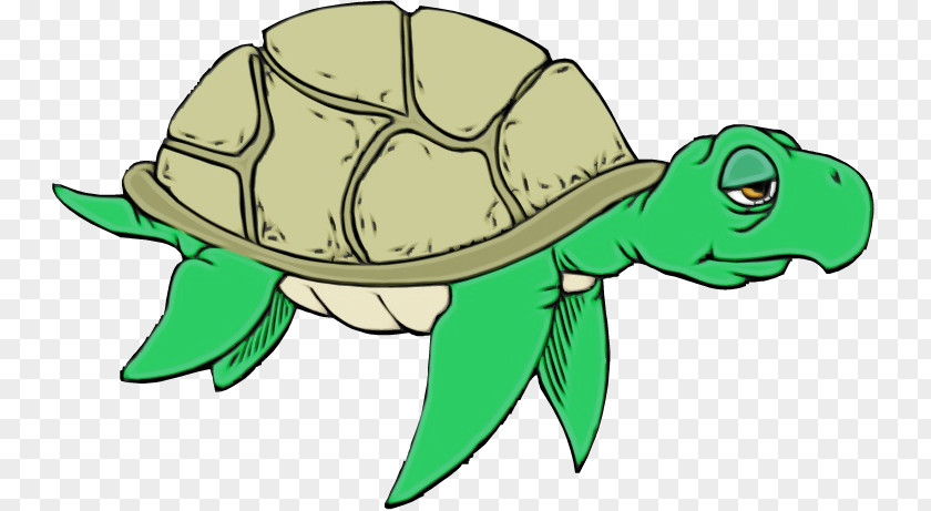 Reptiles Sea Turtles Tortoise M PNG