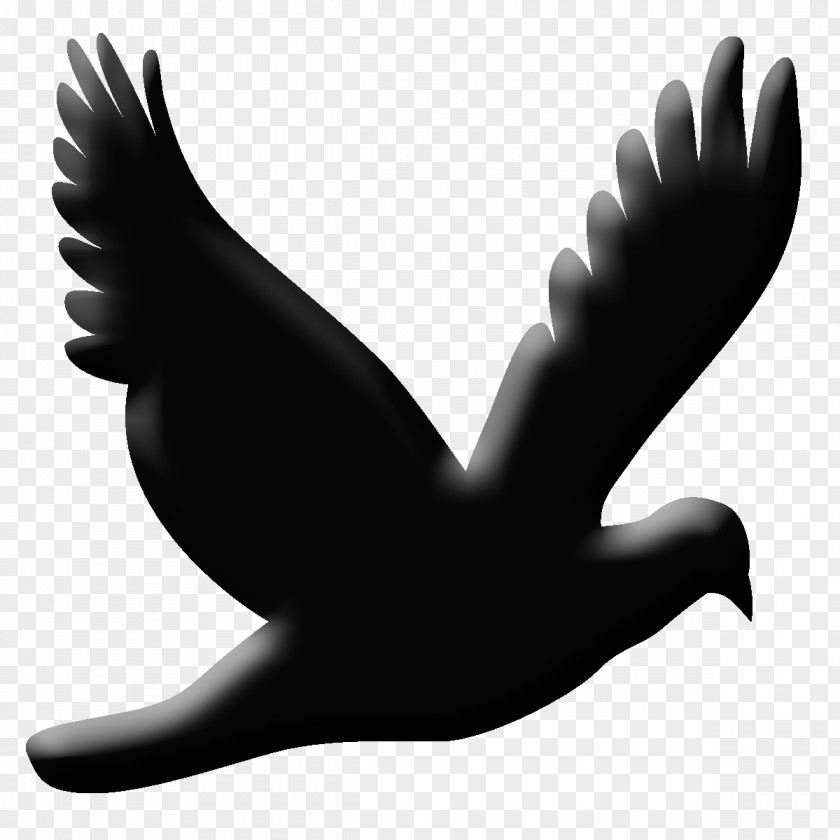 Silhouette Bird Design Beak Image PNG
