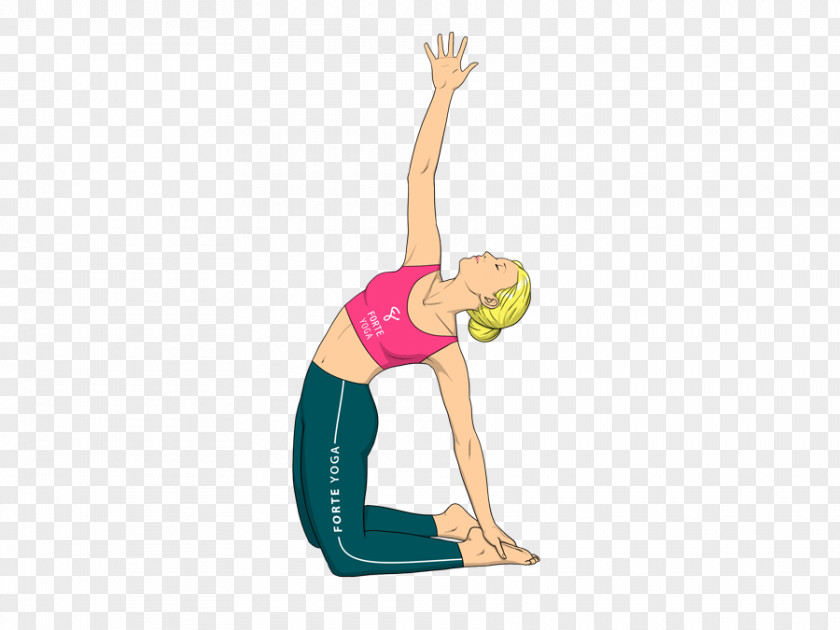 Yoga Ustrasana Tadasana Physical Exercise PNG