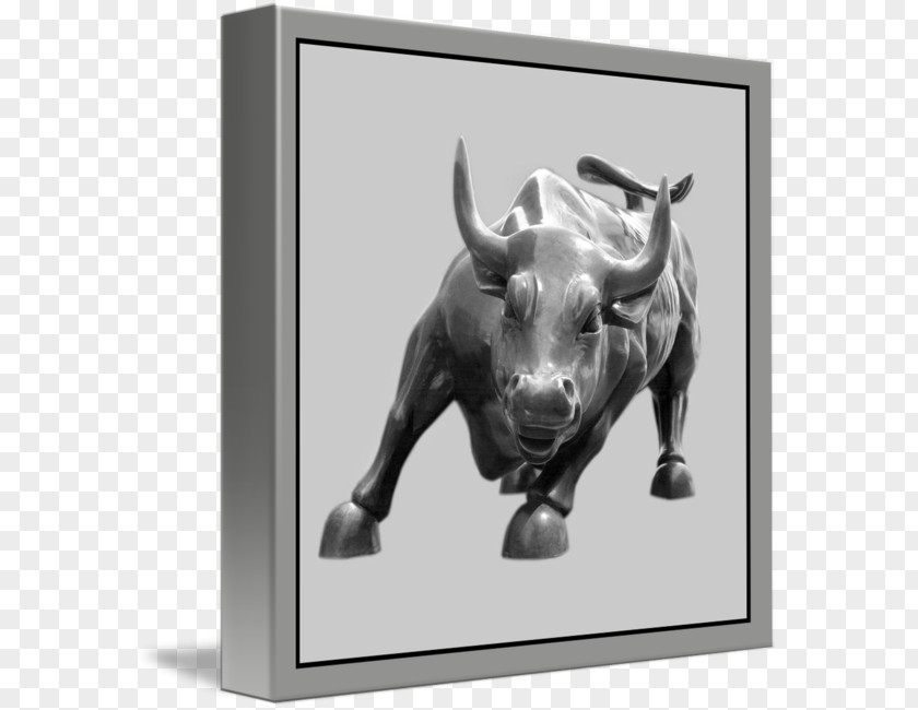 Bull Cattle Picture Frames Snout PNG
