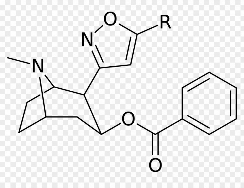 Catuabine Tropane Alkaloid Molecule Terephthalic Acid Chemical Compound PNG