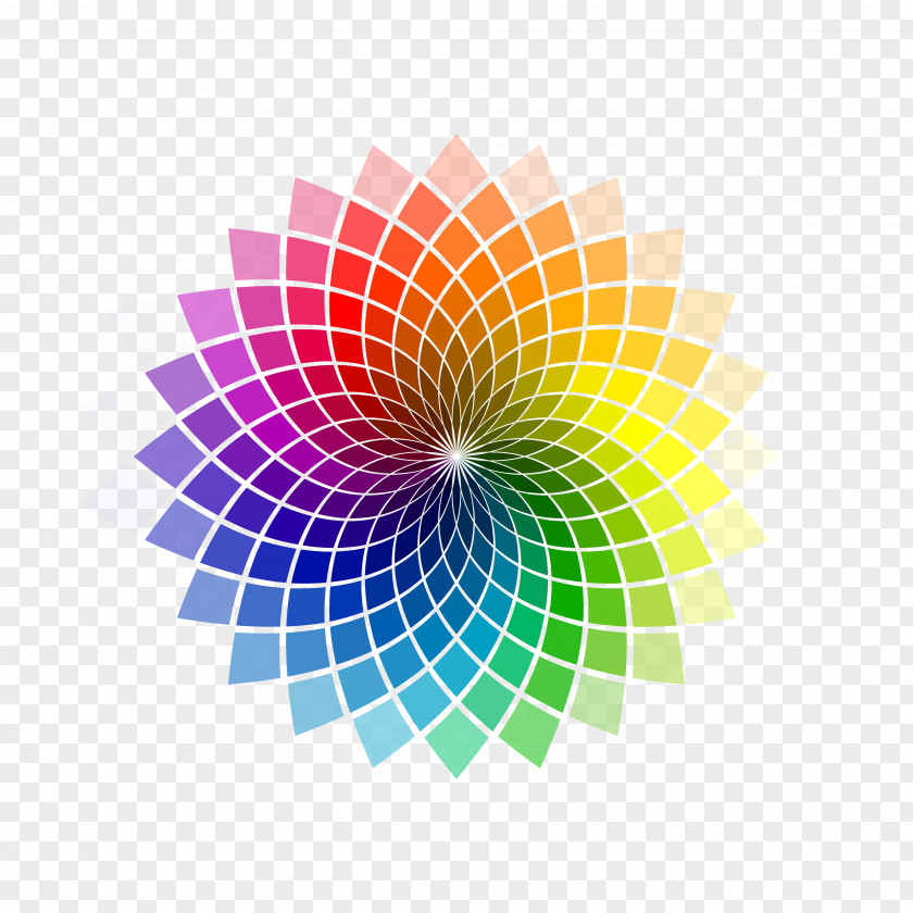 Color Wheel Scheme Complementary Colors PNG