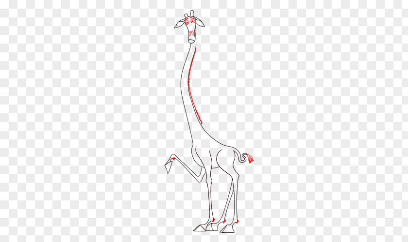 Giraffe Line Art Neck H&M Tree PNG