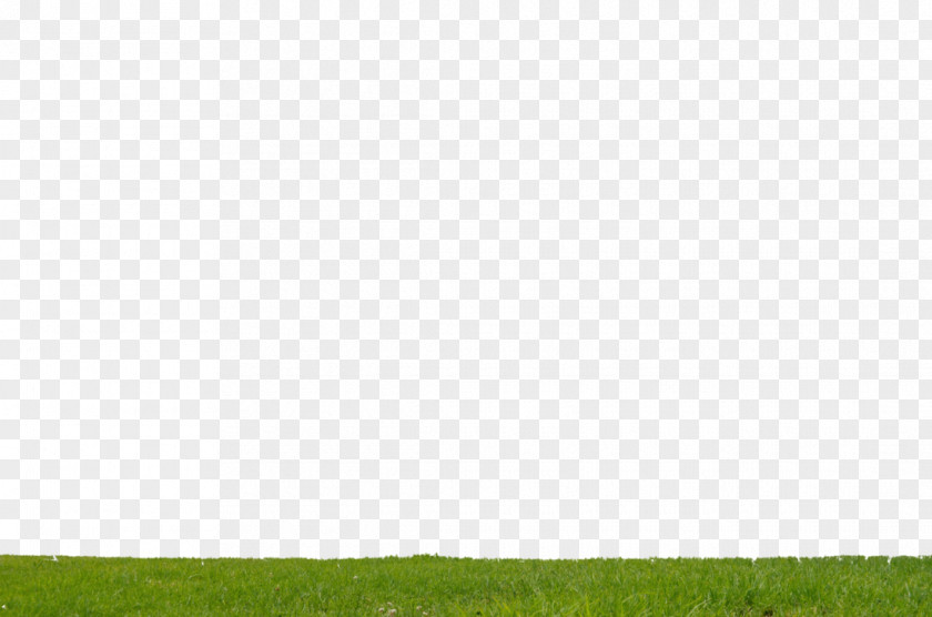 Meadow Grassland Lawn Agriculture Pasture PNG