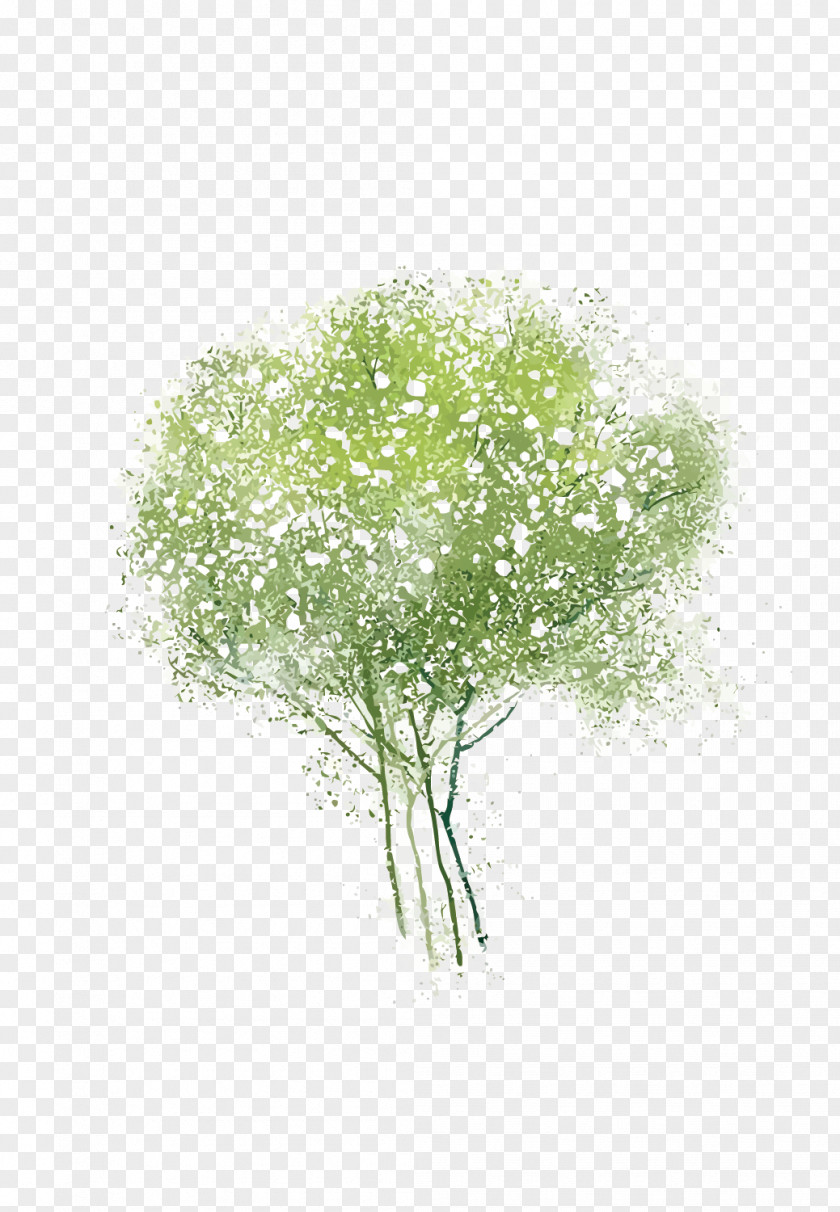 Vector Watercolor Tree Adobe Illustrator PNG