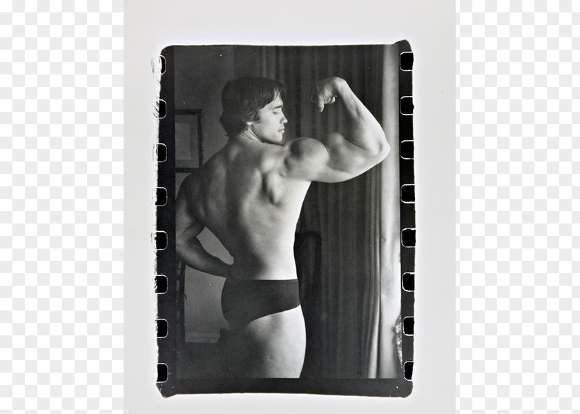Arnold Schwarzenegger Photography Picture Frames Black And White Portrait PNG