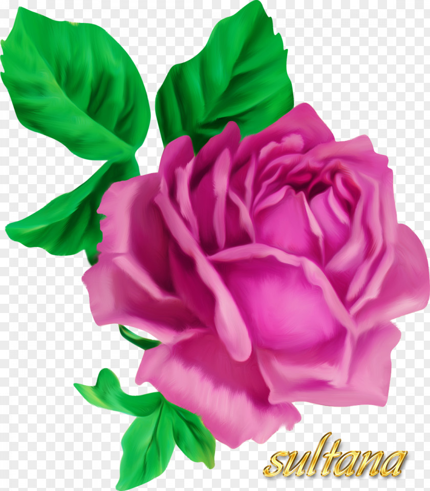 Flower Floral Design Bouquet Clip Art Garden Roses PNG