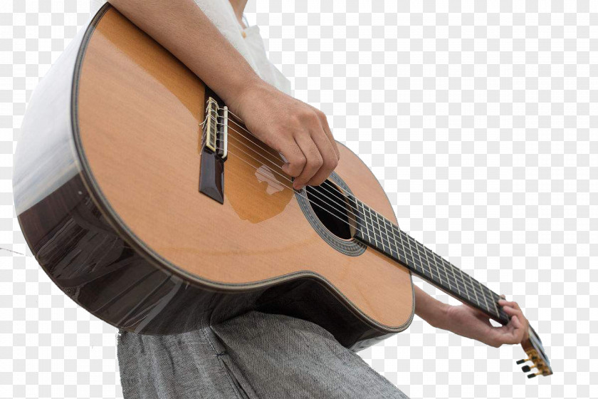 Guitar Player Acoustic Ukulele Tiple Guitarist PNG