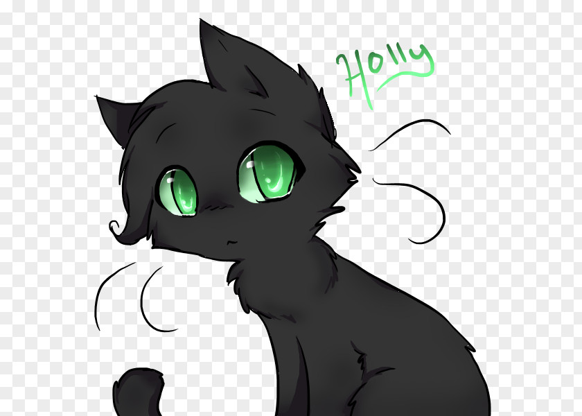 Kitten Black Cat Whiskers PNG