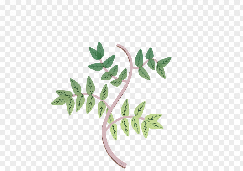 Leaf Plant Stem Twig Tree Meter PNG