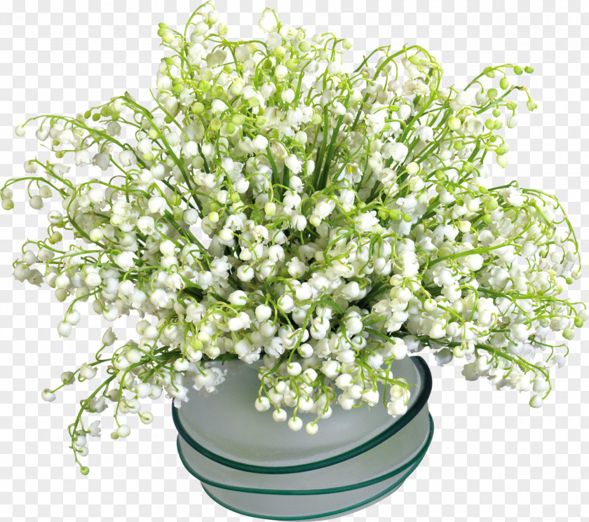 Lily Of The Valley Flower Animation PNG