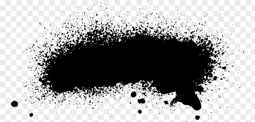 Paint Black And White Monochrome Photography PNG