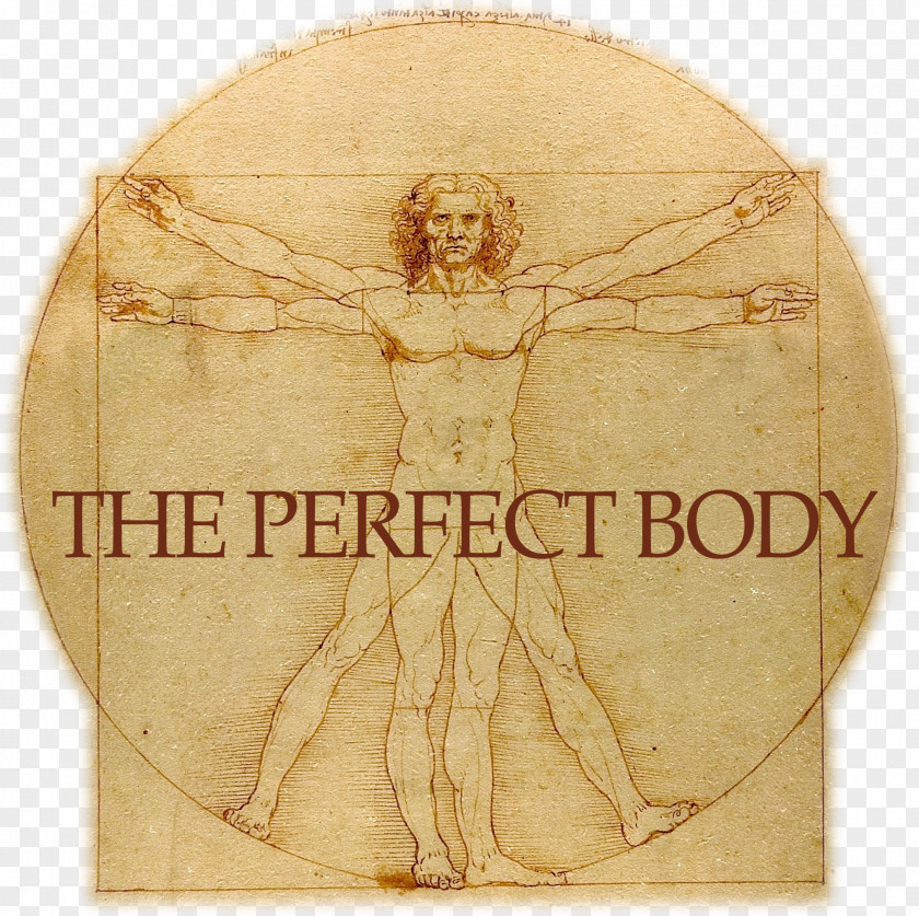 Perfect Body Vitruvian Man Gallerie Dell'Accademia St. John The Baptist Drawing Renaissance PNG