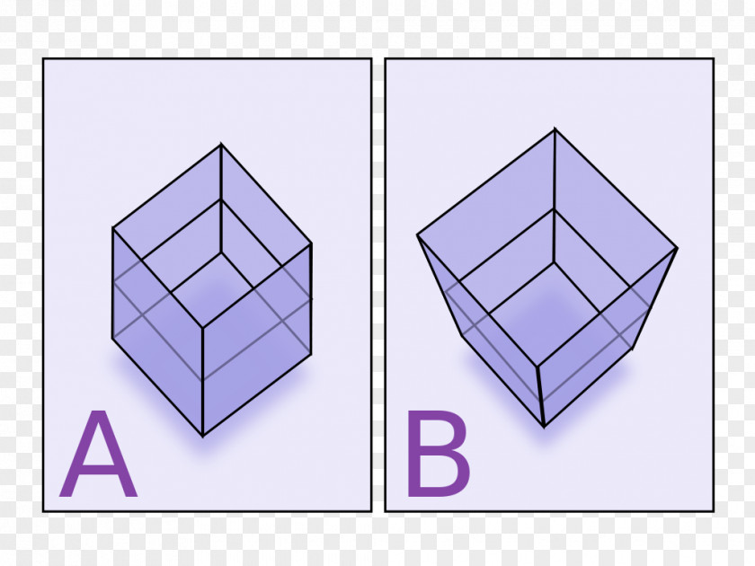 Perspective Grid Renaissance Parallel Projection Lijnperspectief Drawing PNG