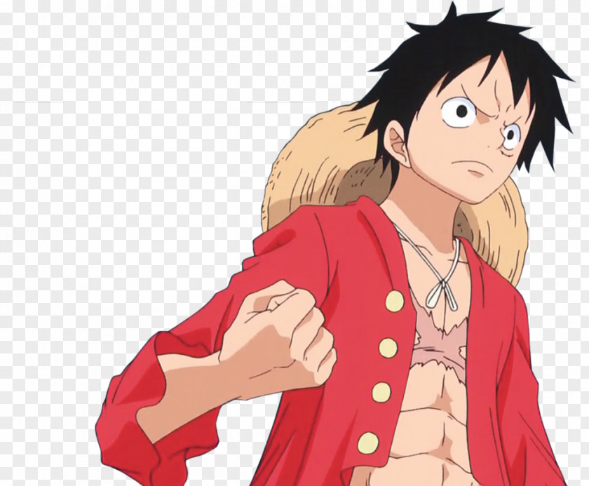 Ruffy Monkey D. Luffy Portgas Ace One Piece Roronoa Zoro Sabo PNG