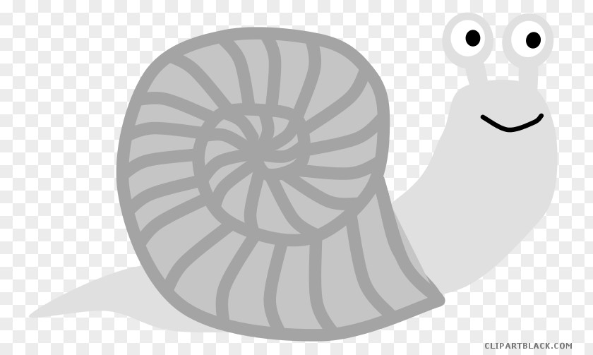 Snail Gastropods Vector Graphics Clip Art Image PNG