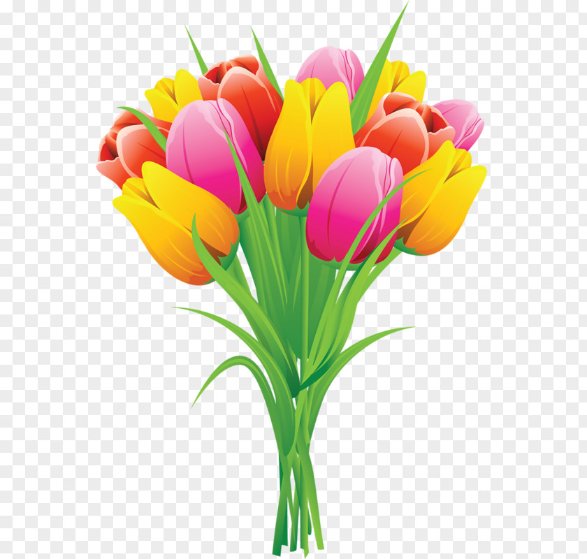 Variety Of Flowers Tulip Flower Clip Art PNG