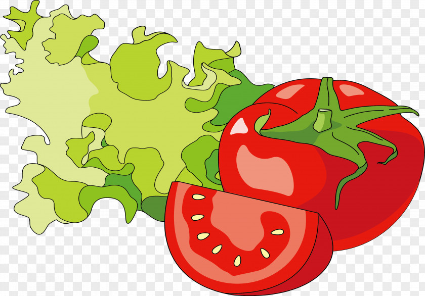 Vegetable Vector Material Hot Dog Hamburger Tomato Illustration PNG