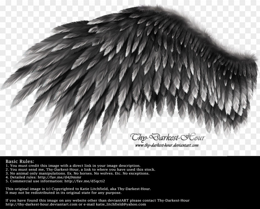 Wings Angel Wing DeviantArt YouTube White PNG