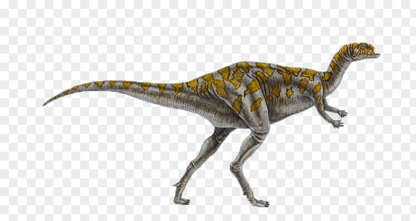 Dinosaur Dryosaurus Iguanodontia Ceratosaurus Genasauria Othnielia PNG