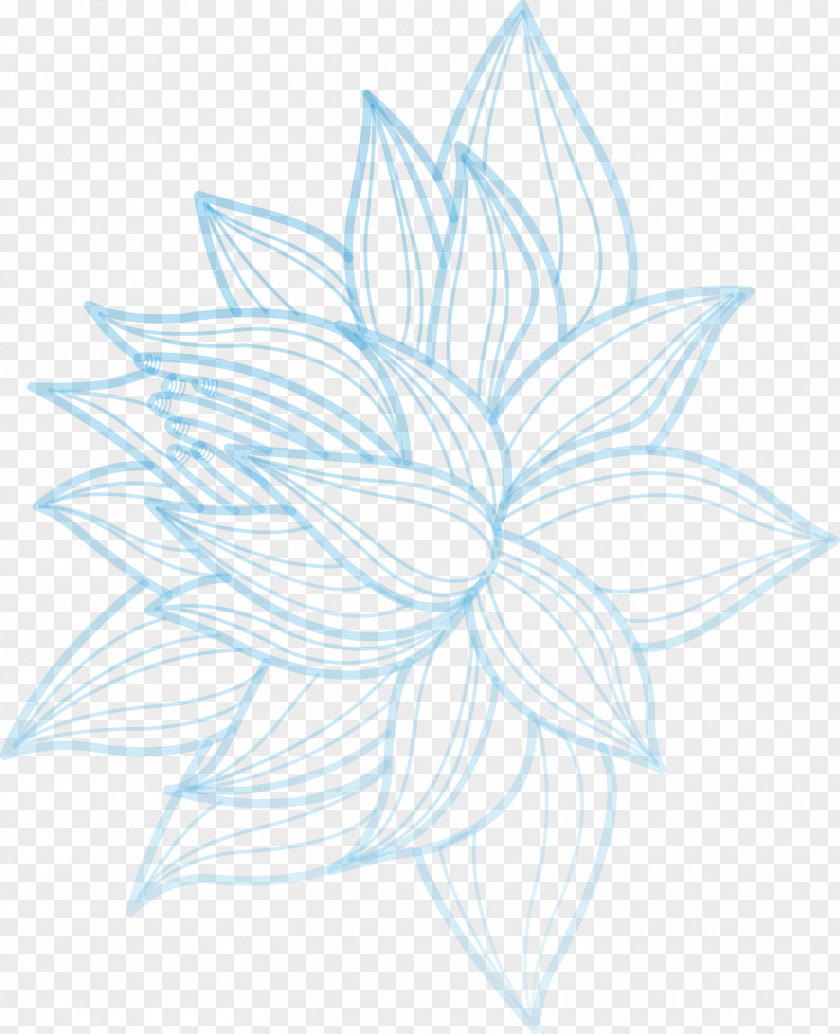 Lotus Blue Line Nelumbo Nucifera PNG