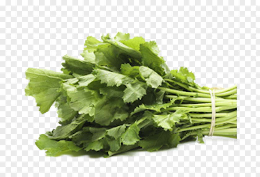 Papaya Salad Coriander Spring Greens Vegetarian Cuisine Parsley Rapini PNG