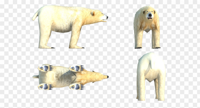 Polar Bear Fauna Terrestrial Animal Snout PNG