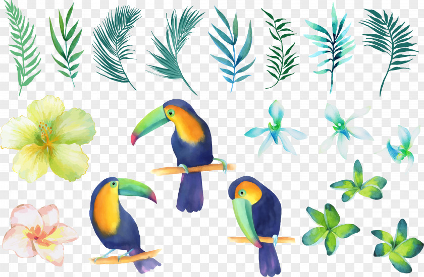 Small Fresh Hand-painted Watercolor Parrot Bird Beak Painting Clip Art PNG