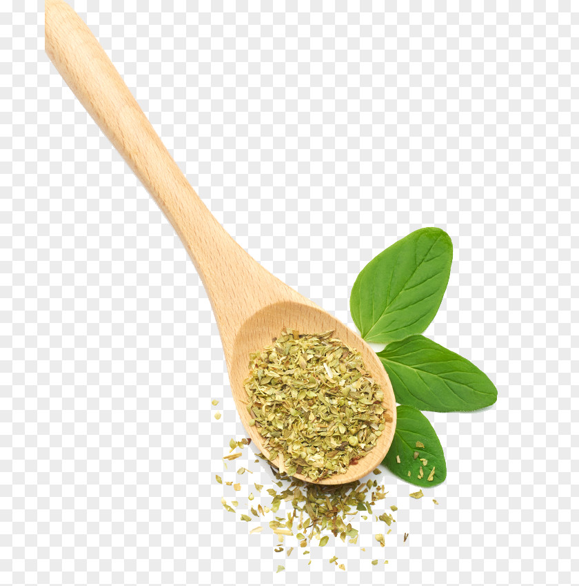 Suncream Herbalism Seasoning Spoon Commodity PNG
