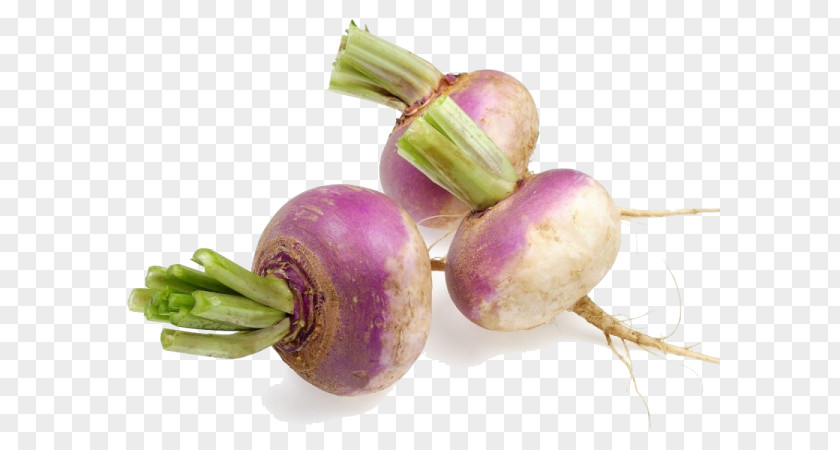 Turniphd Turnip Root Vegetables Rutabaga Radish PNG