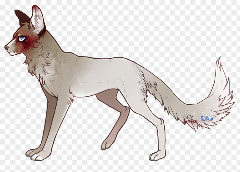 Cat Dog Breed Red Fox Line Art PNG