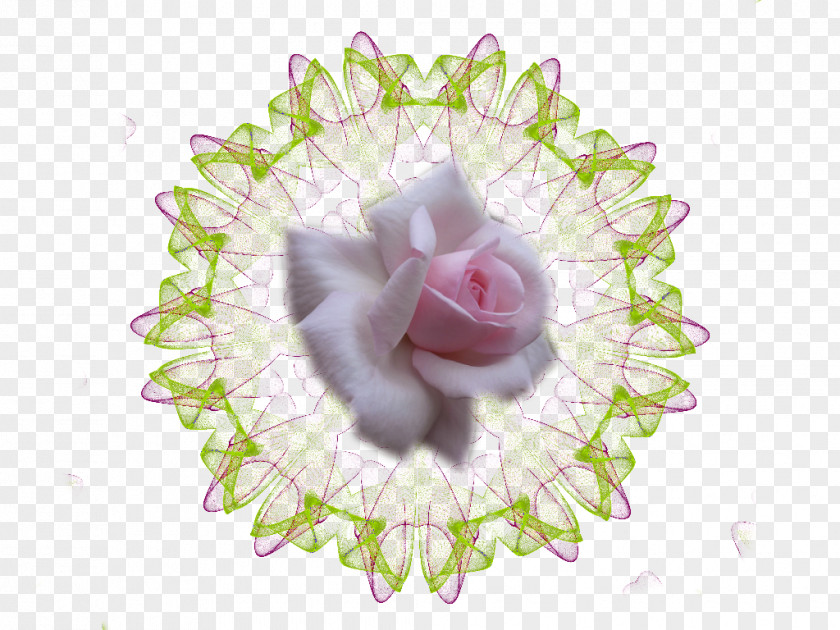 Cut Flowers Floral Design Image Desktop Wallpaper PNG