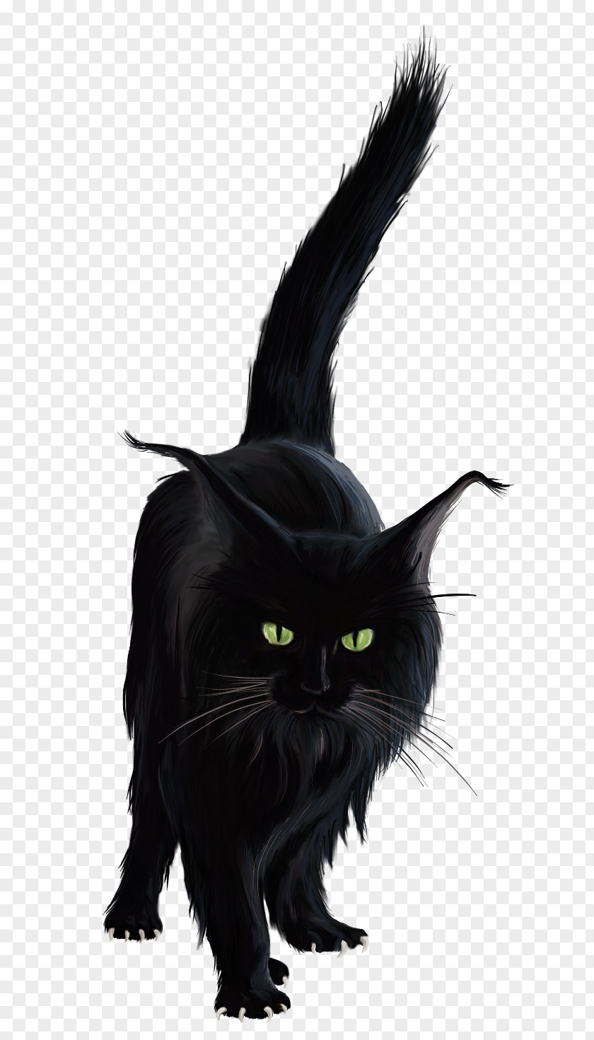 Horror Black Cat Halloween Clip Art PNG