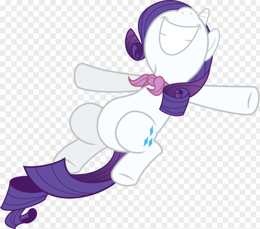 My Little Pony Rarity Derpy Hooves Rainbow Dash PNG