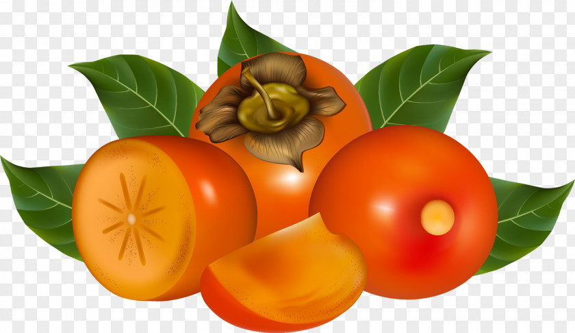 Persimmon Fruit Clip Art PNG