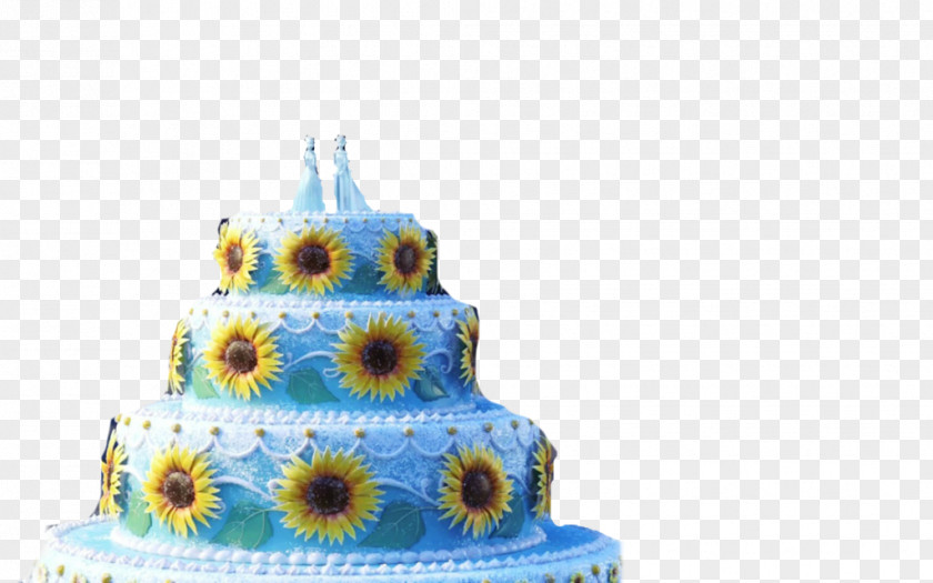 Castle Princess Elsa Anna Birthday Cake Olaf Kristoff PNG