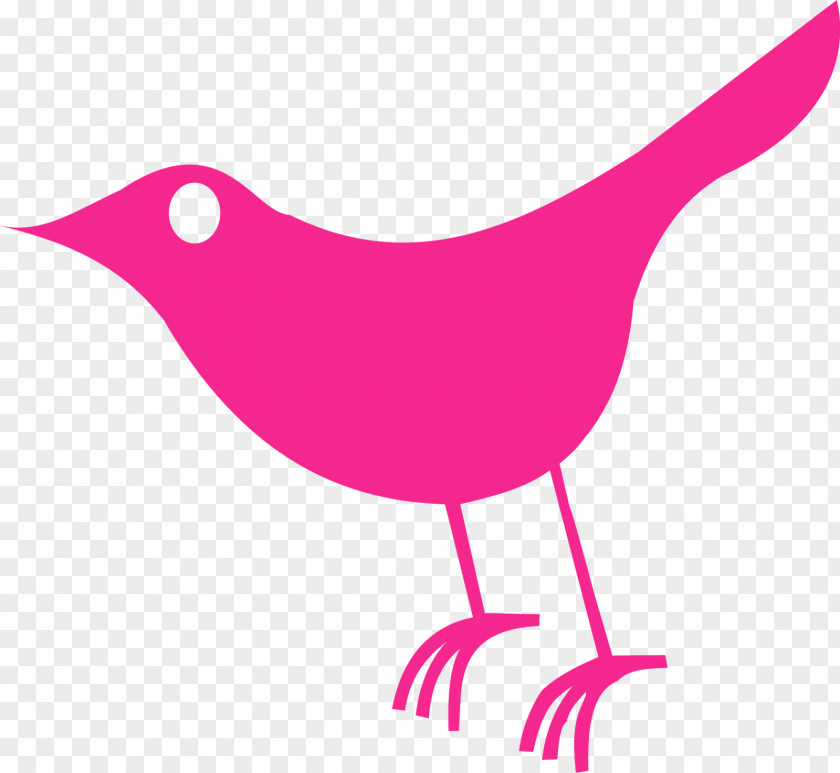 Design Logo Drawing Bird Clip Art PNG