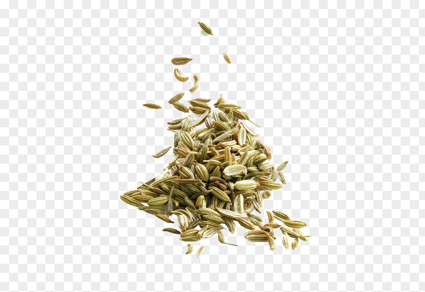 Japan Tea Yogi Avena Hōjicha Fennel PNG