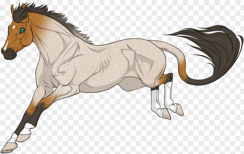 Mustang Foal Stallion Mane Colt PNG