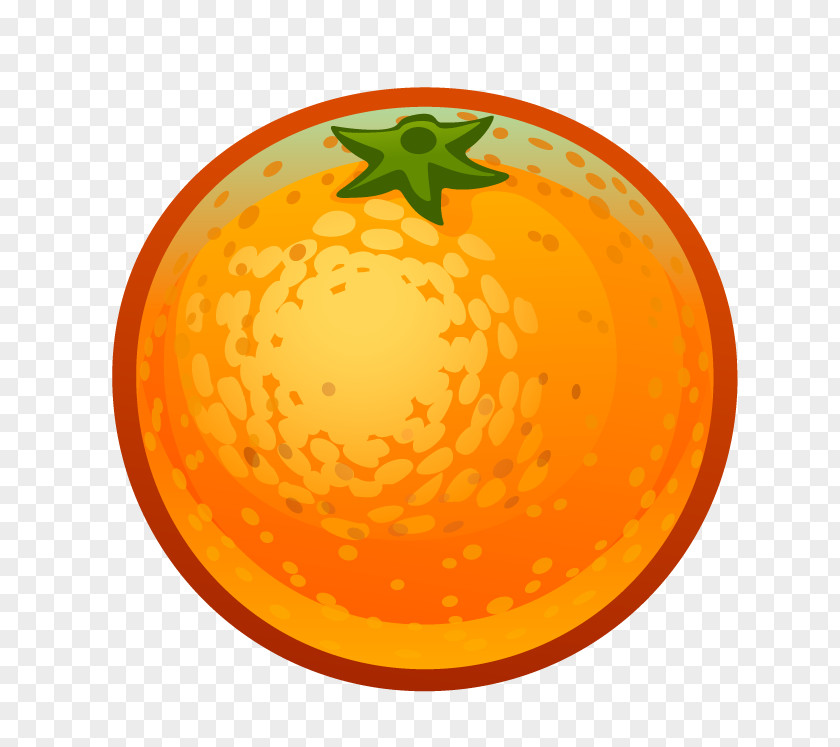 Orange Drawing Fruit Child PNG