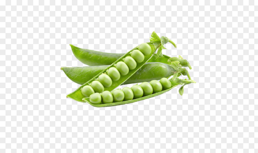 Vegetable Snap Pea Food Thiamine PNG