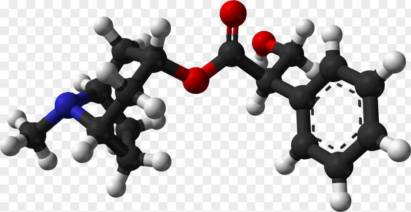 Atropine Isomer Ball-and-stick Model Isophthalic Acid Chemical Formula PNG