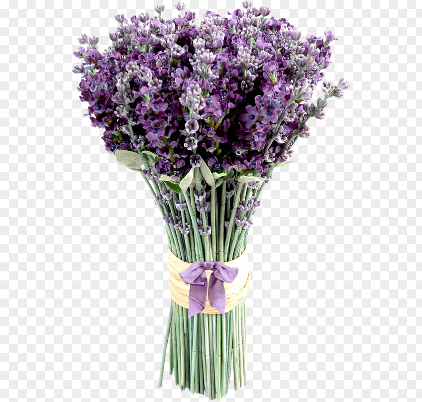 Buddleia Plant Stem Flowers Background PNG