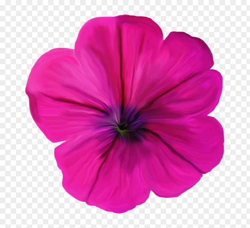 Flor Flower Bouquet Desktop Wallpaper Garden Roses Clip Art PNG