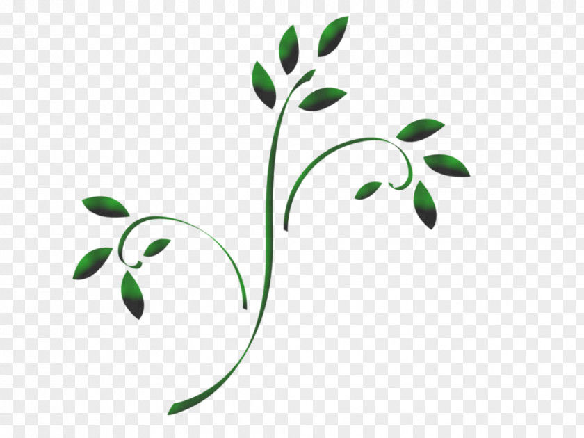 Herbal Pedicel Green Leaf Logo PNG